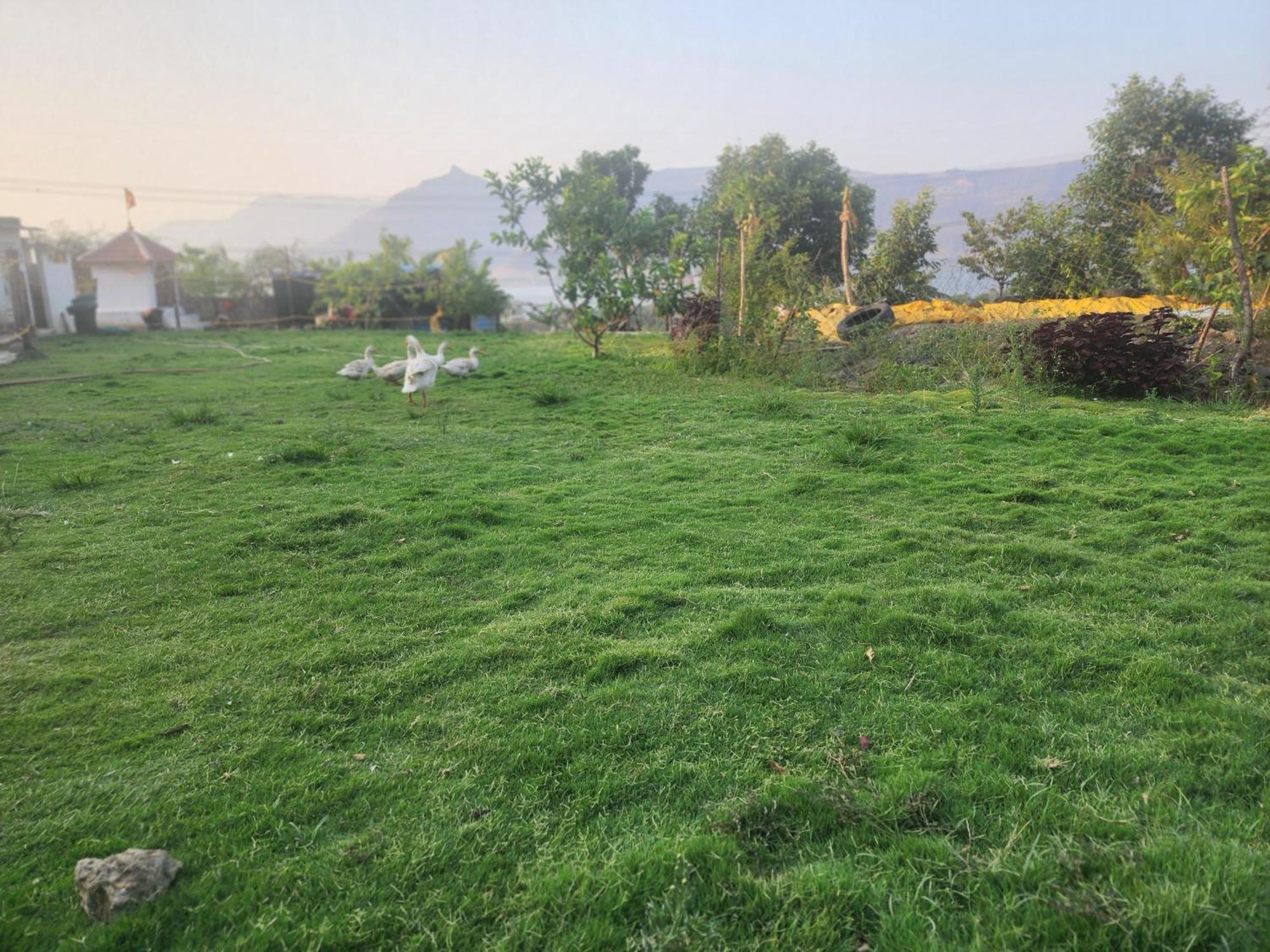 Jandyal Farm House مالشيج جات المظهر الخارجي الصورة